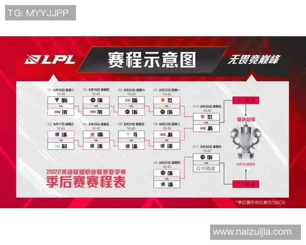 赛后分析:LNG与V5实力对比及未来发展趋势探讨